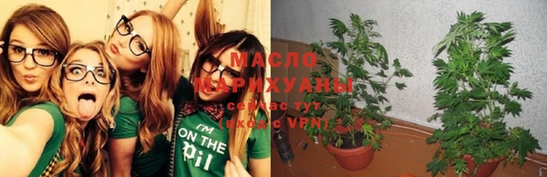 ГАЛЛЮЦИНОГЕННЫЕ ГРИБЫ Баксан