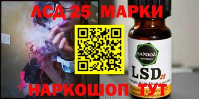 индика Гусев